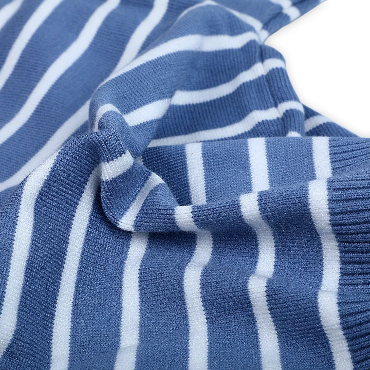 Dashing Dino Striped Premium Full Sleeves Knitted Sweater - Blue