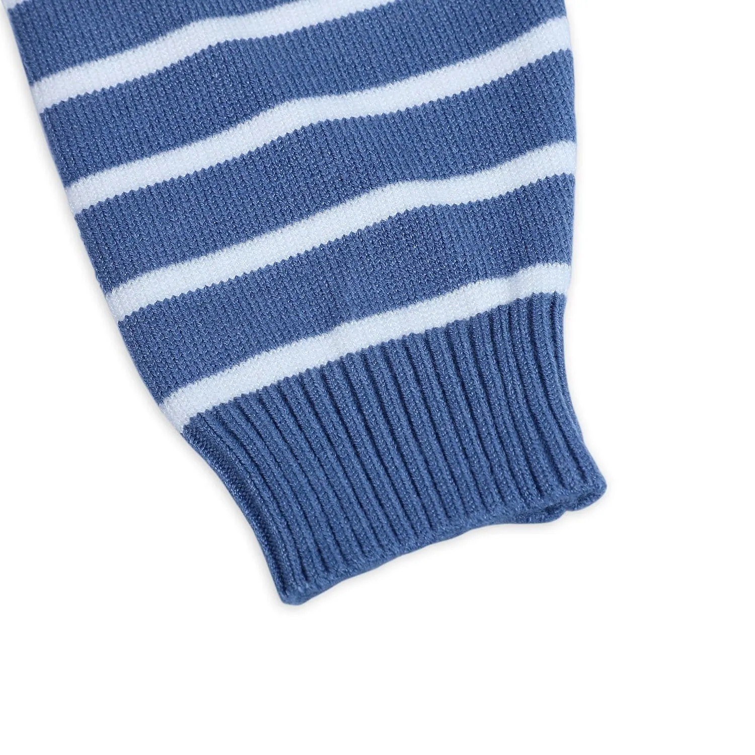 Dashing Dino Striped Premium Full Sleeves Knitted Sweater - Blue