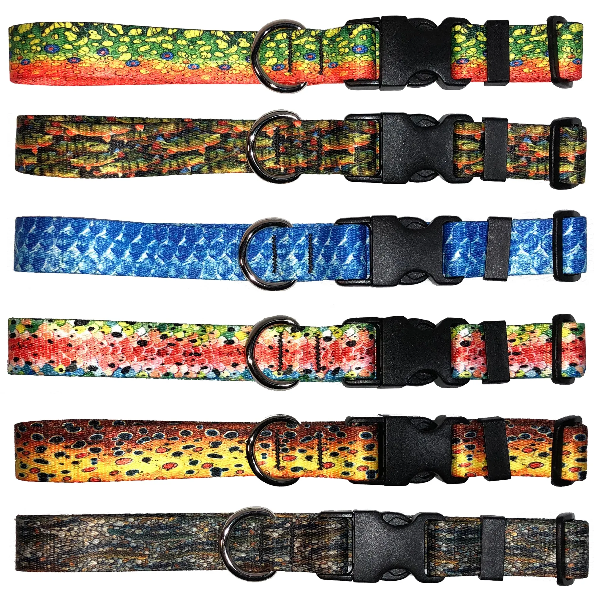 Peacock Bass Dog Collar